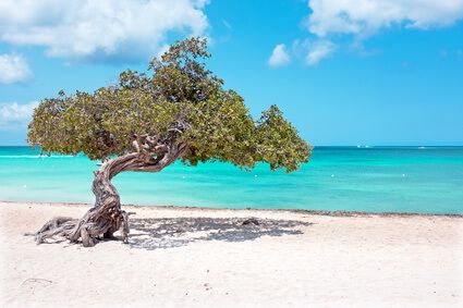 Karibik-Insel Aruba