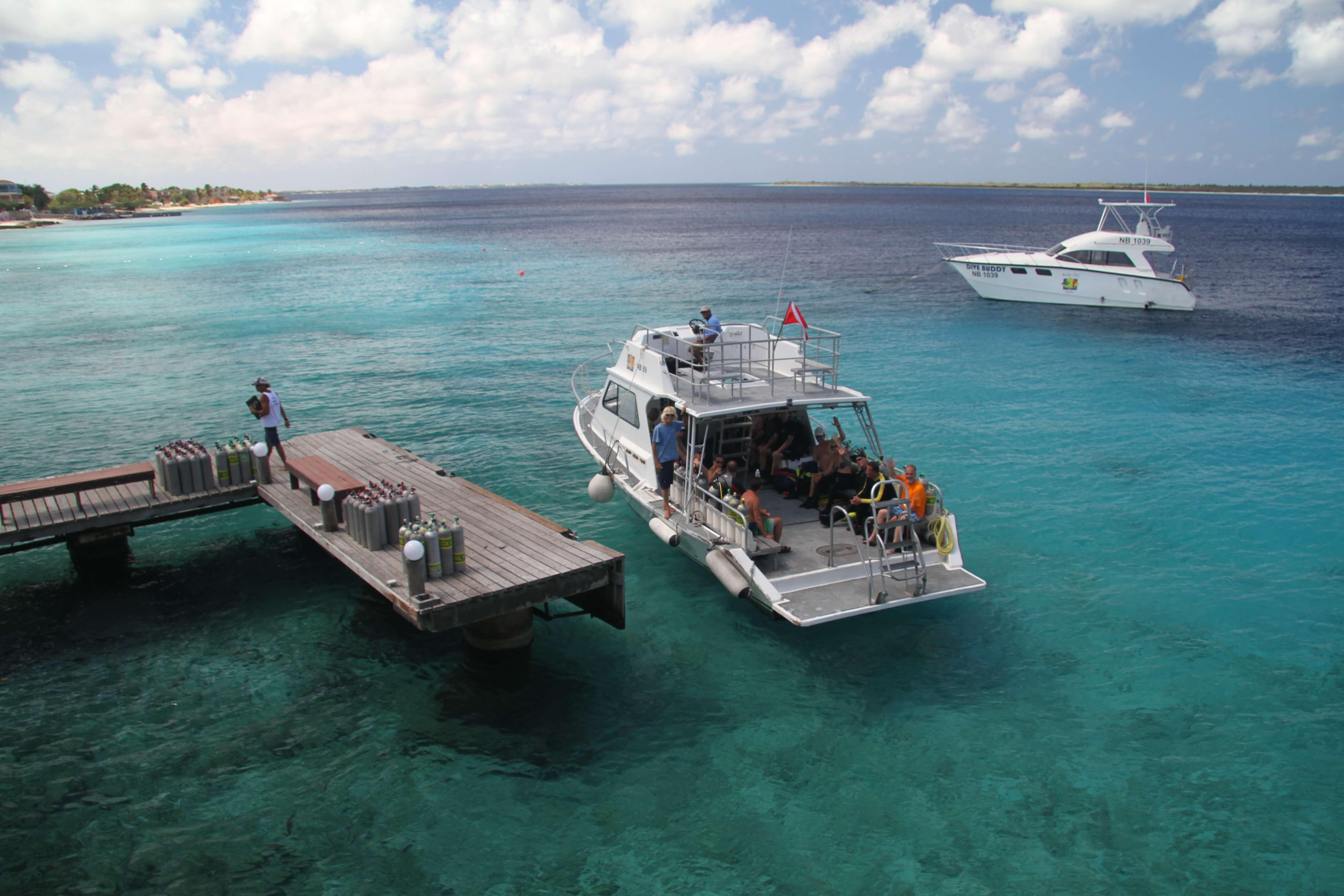 Wir bieten Tauchreisen für Gruppen, Singles und Paare nach Bonaire