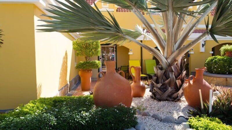 aruba_amsterdam_manor_palms