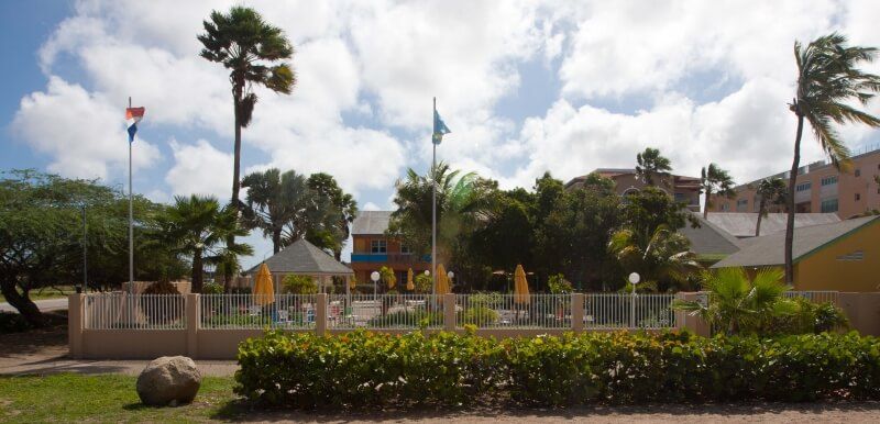 aruba_mvc_eagle_beach_palm