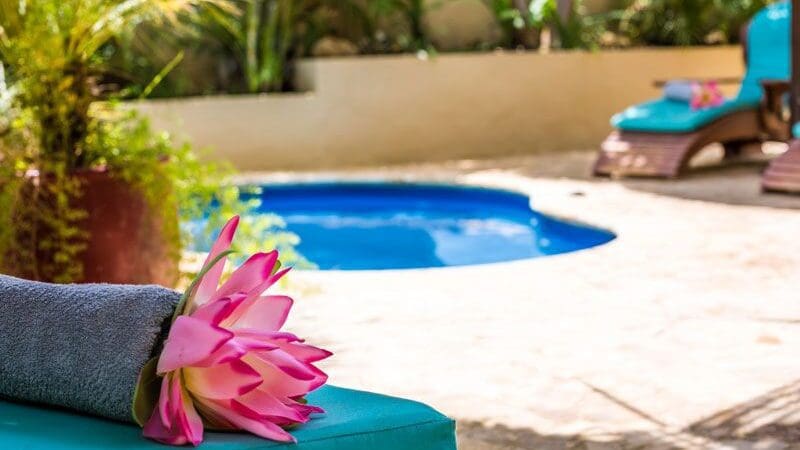 bonaire_bamboo_boutique_pool_flower