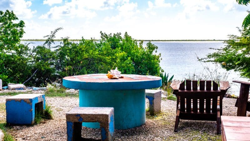 Hamlet Oasis Bonaire (16)