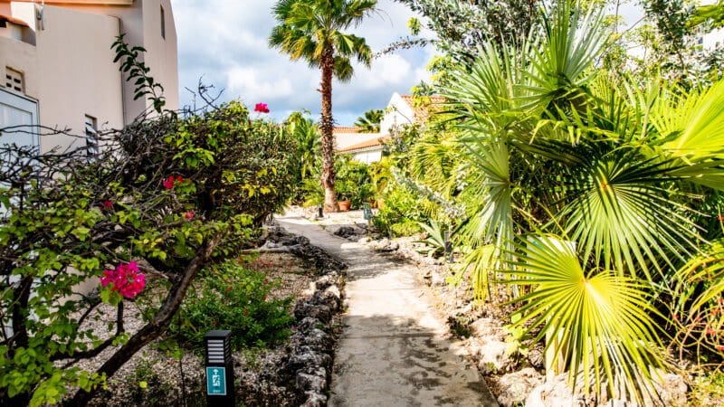 Hamlet Oasis Bonaire (20)