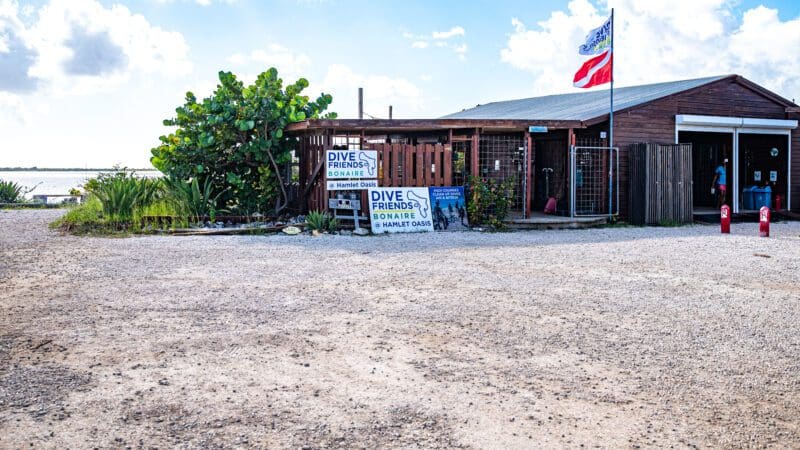 Hamlet Oasis Bonaire (3)