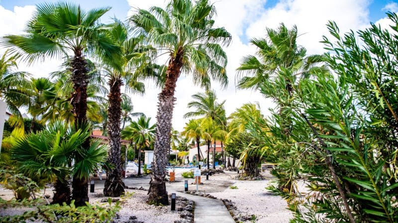 Hamlet Oasis Bonaire (6)