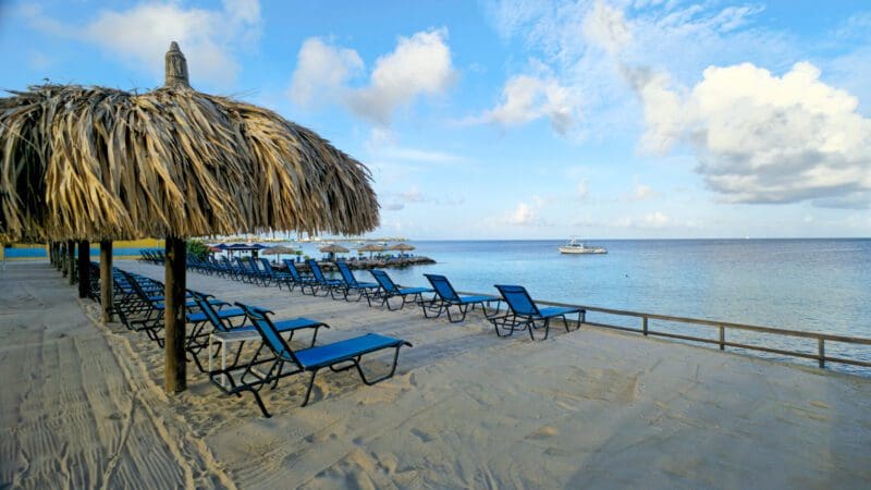 Divi Flamingo Beach Resort (6)