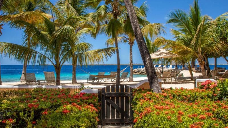 Harbour Village Premier Beachfront Suites (8)