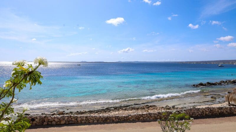 Plaza Beach Resort Grand Suite Ocean (1)