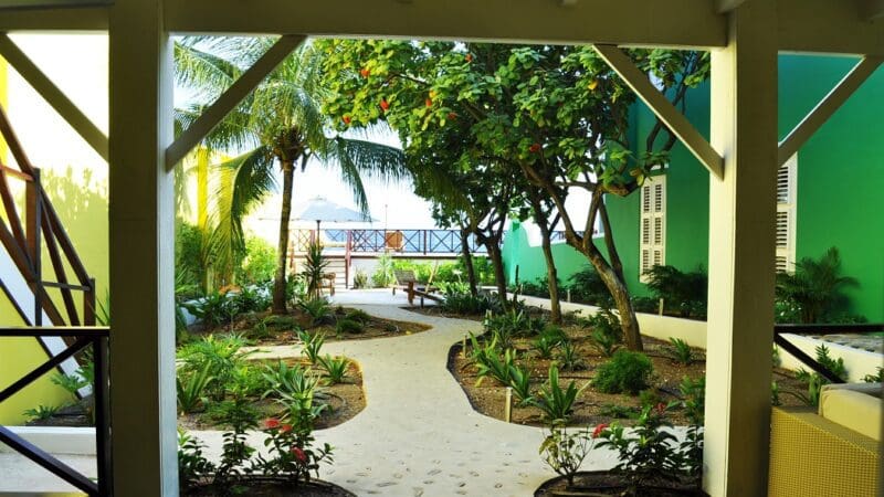 Scuba Lodge 1-Schlafzimmer Suite (3)
