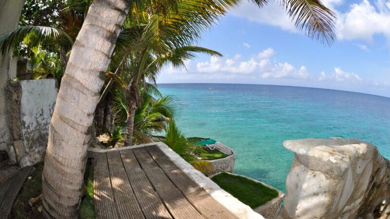 Sun Reef (3)