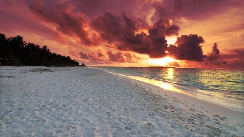 1. Aruba divitree slide (12)