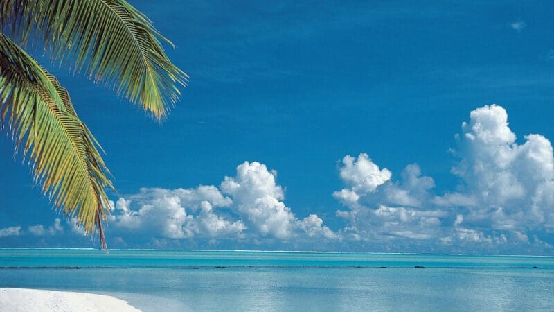 1. Aruba divitree slide (20)