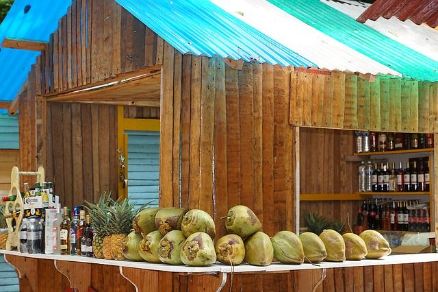 coconut-1128217_640