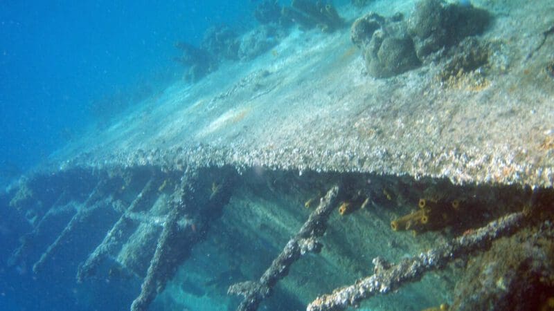 dive-gc9b10beb3_1280
