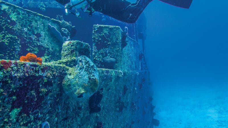 pexels-christian-vergara-11634173