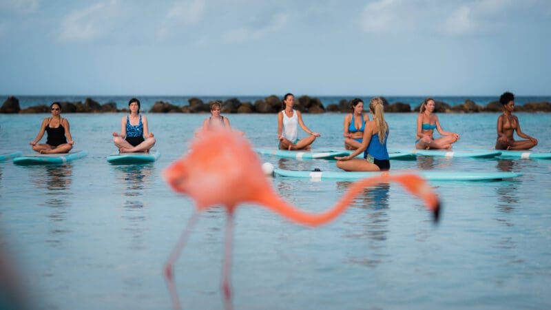 sup yoga flamingo island
