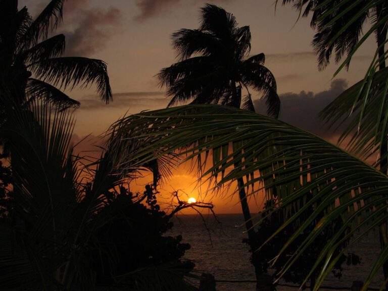 Tropischer Sonnenuntergang hinter Palmen mit Blick aufs Meer